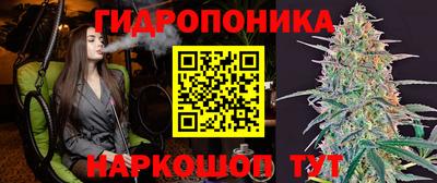 трава Будённовск