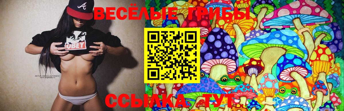 Псилоцибиновые грибы Cubensis Кунгур