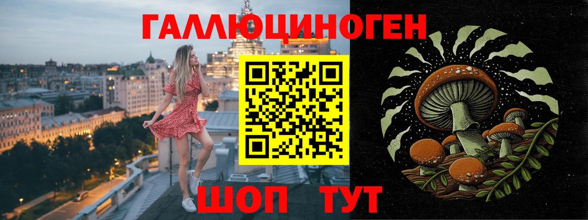Кунгур  хочу наркоту  Вход с VPN  Галлюциногенные грибы мухоморы 